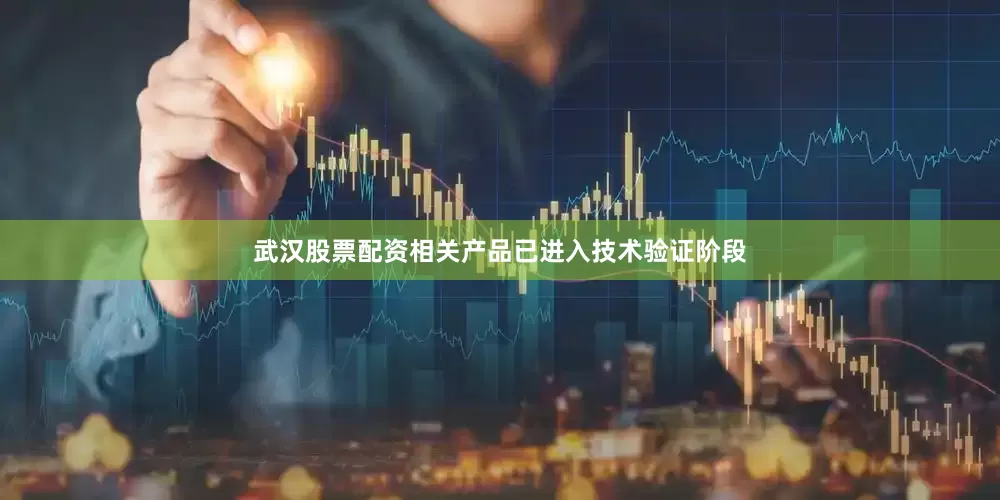 武汉股票配资相关产品已进入技术验证阶段