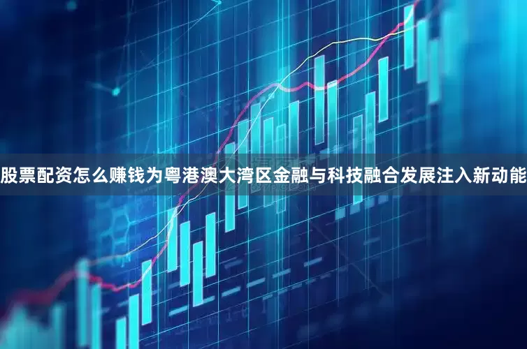 股票配资怎么赚钱为粤港澳大湾区金融与科技融合发展注入新动能