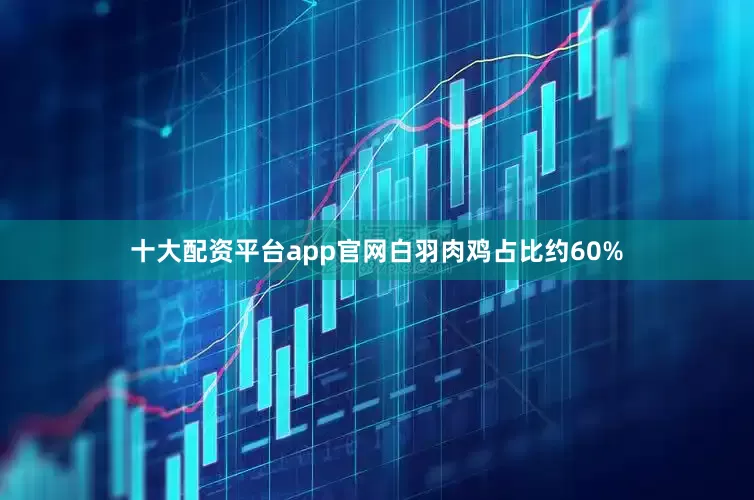 十大配资平台app官网白羽肉鸡占比约60%