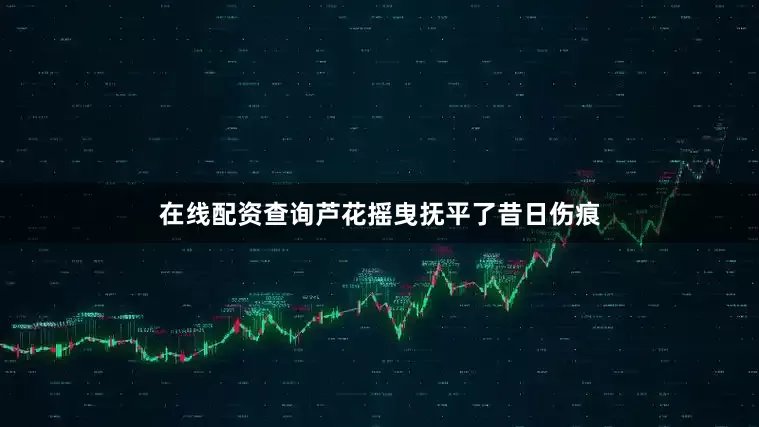 在线配资查询芦花摇曳抚平了昔日伤痕
